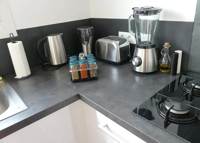 Bright Modern, Near Center And 10 Min From Beaches Brest