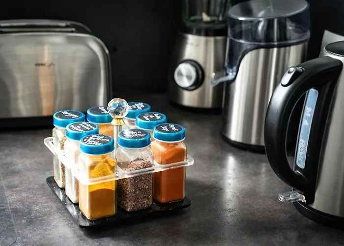 Bright Modern, Near Center And 10 Min From Beaches 公寓 布雷斯特