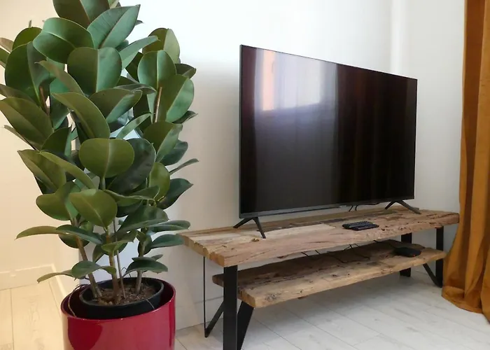 公寓 Bright Modern, Near Center And 10 Min From Beaches 布雷斯特